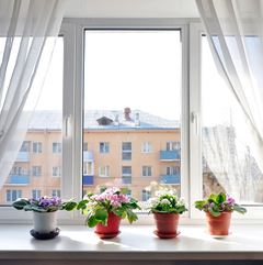 окна в квартире